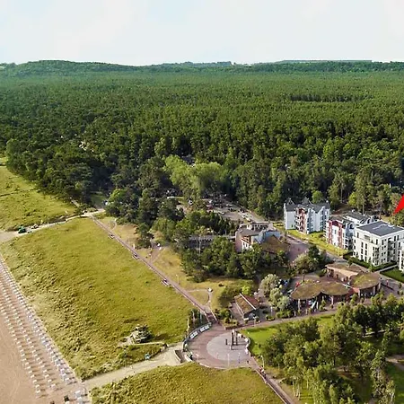 Ensemble 10 Balt بابي